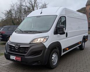 Opel Opel Movano Ka L4H2 3,5t Selection AHK/APP/TEMP/KA Gebrauchtwagen