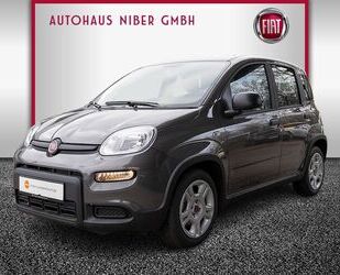 Fiat Fiat Panda 1.0 Base KLIMA BLUETOOTH Gebrauchtwagen