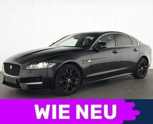 Jaguar Jaguar XF R Sport Leder|Panorama|Navi|Xenon Gebrauchtwagen