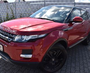 Land Rover Land Rover Range Rover Evoque Pure CAMERA LEDER AH Gebrauchtwagen