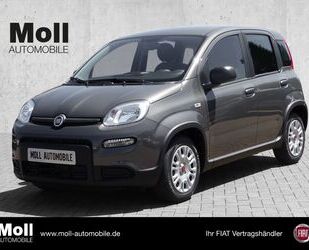 Fiat Fiat Panda Hybrid Tech Paket, Radio, Klima., Multi Gebrauchtwagen