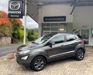 Ford Ford EcoSport Cool & Connect Kamera Gebrauchtwagen