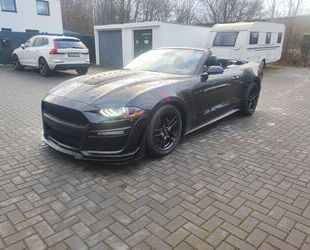 Ford Ford Mustang 2.3L Shelby Optik Digi Tacho Winterre Gebrauchtwagen