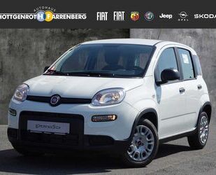 Fiat Fiat Panda 1.0 Mild Hybrid 70PS EU6d Gebrauchtwagen