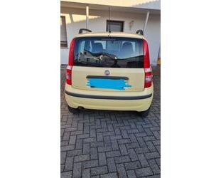 Fiat Fiat Panda Gebrauchtwagen