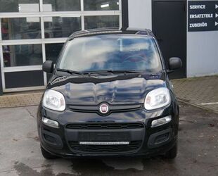 Fiat Fiat Panda/Pandina Panda 1.2 Start&Stop Easy Gebrauchtwagen