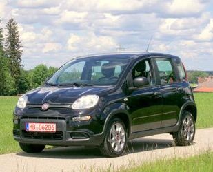 Fiat Fiat Panda 4x4 6.Gang, Schwarz met. TÜV 3/2026.!! Gebrauchtwagen