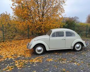 VW Volkswagen Käfer 1962 Export Dickholmer Gebrauchtwagen