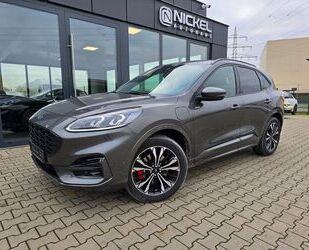 Ford Ford Kuga Plug-In Hybrid ST-Line X*HuD*Ahk*Acc*B&O Gebrauchtwagen