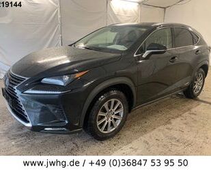 Lexus Lexus NX 300h LED Vollleder Navi 17