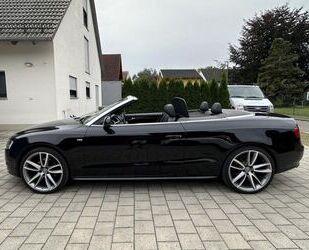 Audi Audi A5 3.0 TDI (DPF) S tronic quattro 300 PS Gebrauchtwagen