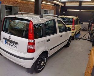 Fiat Fiat Panda Top zustand Wenig Kilometer Gebrauchtwagen