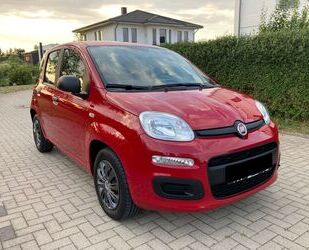 Fiat Fiat Panda 1.2 Klima 36.000km Tüv neu Gebrauchtwagen