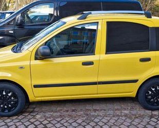 Fiat Fiat Panda Gebrauchtwagen