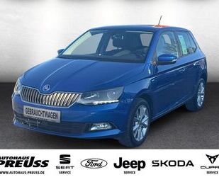 Skoda Skoda Fabia 1.0 TSI Clever 70KW Gebrauchtwagen