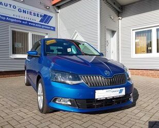 Skoda Skoda Fabia 1.2 TSI Green Tec JOY APP/SHZ/DAB/Navi Gebrauchtwagen