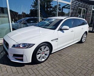 Jaguar Jaguar XF Sportbrake R-Sport/Leder/Xenon/Navi/MwST Gebrauchtwagen