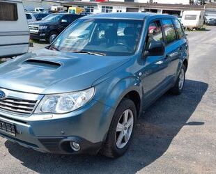 Subaru Subaru Forester Active Gebrauchtwagen