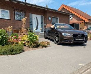 Audi Audi A5 2.0 TDI Cabriolet - Gebrauchtwagen