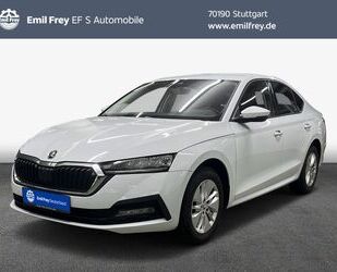 Skoda Skoda Octavia 2.0 TDI Ambition Gebrauchtwagen