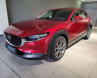 Mazda Mazda CX-30 Selection X-180/Design/Bose/I-Act.-P./ Gebrauchtwagen