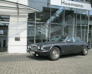 Jaguar Jaguar XJ12 Serie III Daimler Double Six Gebrauchtwagen