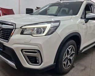 Subaru Subaru Forester Active 4WD 1.Hand LED Kamera ACC Gebrauchtwagen