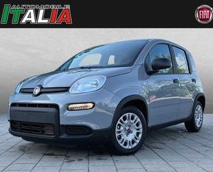 Fiat Fiat Panda 1.0 GSE Hybrid Gebrauchtwagen