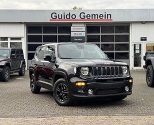 Jeep Jeep Renegade 1.6l Longitude Design Black-Pack Gebrauchtwagen