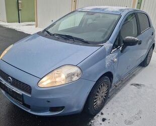 Fiat Fiat Punto 1.2 8V 5trg Klima 8-fach bereift Gebrauchtwagen