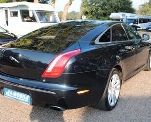 Jaguar Jaguar XJ Portfolio Navi Leder SSD SHZ Memory Gebrauchtwagen