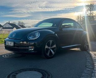 VW Volkswagen New Beetle Gebrauchtwagen