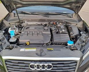 Audi Audi Q2 1.6 TDI - Gebrauchtwagen