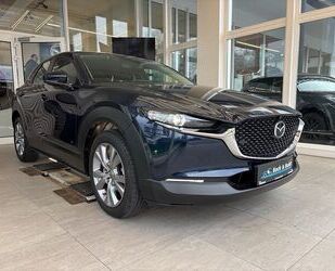 Mazda Mazda Cx-30 Selection 2.0i BOSE+360GRAD+18ZOLL Gebrauchtwagen