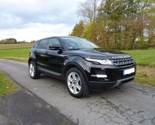 Land Rover Land Rover Range Rover Evoque 2.2 SD4 4WD, AHK,Wi Gebrauchtwagen