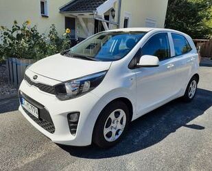 Kia Kia Picanto 1.2 Dream-Team Edition Dream-Team Ed.. Gebrauchtwagen