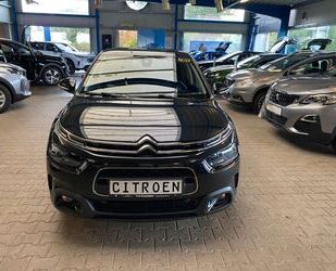 Citroen Citroën C4 Cactus PureTech 110 Shine Pack Gebrauchtwagen