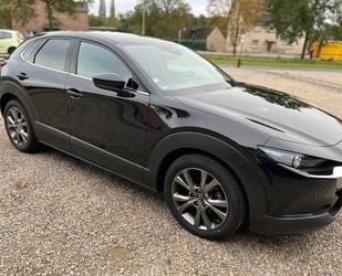 Mazda Mazda CX-30 2.0 M-Hybrid, AHK, Garantie, Edition 1 Gebrauchtwagen