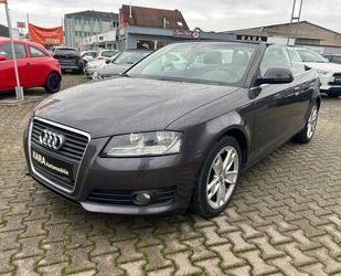 Audi Audi A3 2.0 TDI Cabriolet Amb.*Klimaautom/PDC/Lede Gebrauchtwagen