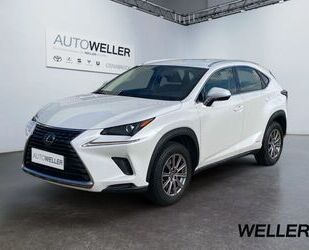 Lexus Lexus NX 300h Business Line *Bi-LED*CAM*CarPlay*SH Gebrauchtwagen