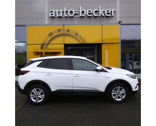 Opel Opel Grandland X 1.5 D[Euro6d] AT Business Edition Gebrauchtwagen