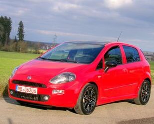 Fiat Fiat Punto 1,4 Pop, Klima, Euro 5, TÜV 11/26..!! Gebrauchtwagen