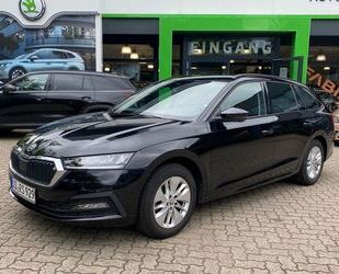 Skoda Skoda Octavia Combi 2.0 TDI Ambition Gebrauchtwagen