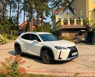 Lexus Lexus UX 250h Comfort+ Gebrauchtwagen