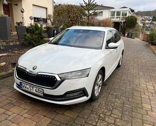 Skoda Skoda Octavia Combi Style 2.0 TDI 7-G DSG Gebrauchtwagen