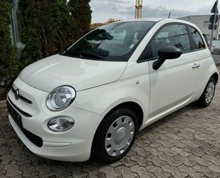 Fiat Fiat 500 Cult Hybrid / Klima Gebrauchtwagen