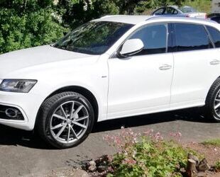 Audi Audi Q5 2.0 TDI S tronic quattro 2x S-line, Xenon Gebrauchtwagen