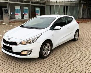 Kia Kia ProCeed 1.6 GDI - TÜV NEU!, PDC, KLIMA, AHK, Gebrauchtwagen