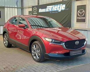 Mazda Mazda CX-30 SKYACTIV-X Automatik, Selection, Navi Gebrauchtwagen