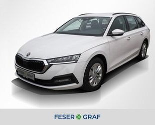 Skoda Skoda Octavia Combi Ambition 2.0 TDI AHK LED Nav S Gebrauchtwagen